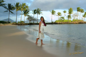 pei_pei_beach_hawaii_110-546